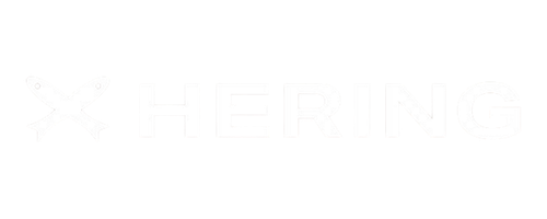 2 (1)